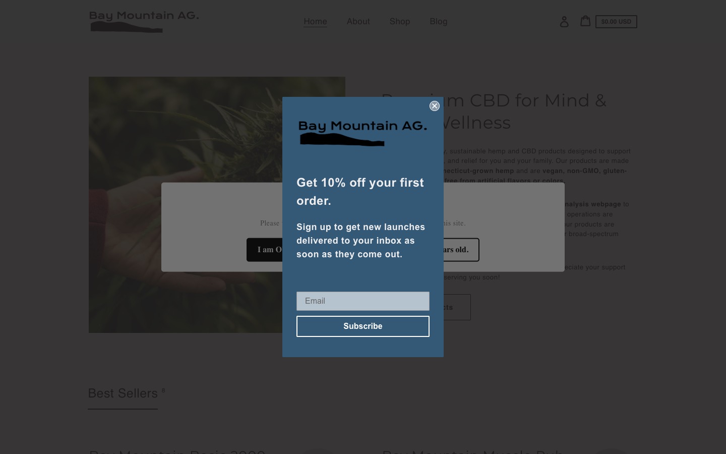 The current homepage